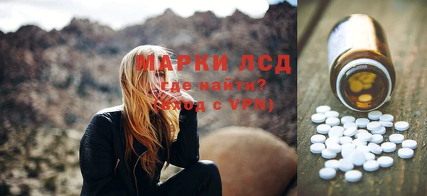 крисы Бородино