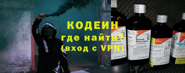 крисы Бородино