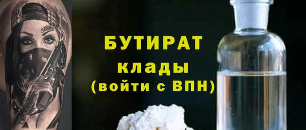 крисы Бородино