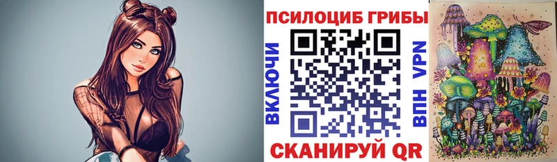 Псилоцибиновые грибы Cubensis  блэк спрут зеркало  Сретенск  цены наркотик 